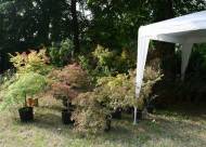 Mostra-mercato Vanzo Floreale 2009